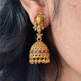 Vaadya Leela Set